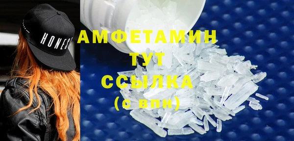 прущие грибы Богородицк