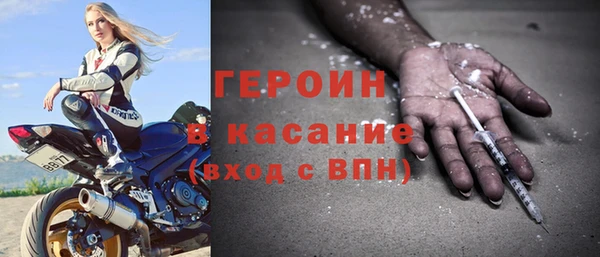 прущие грибы Богородицк