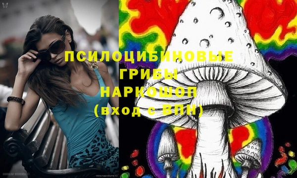 прущие грибы Богородицк