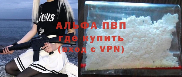 прущие грибы Богородицк