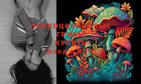 прущие грибы Богородицк